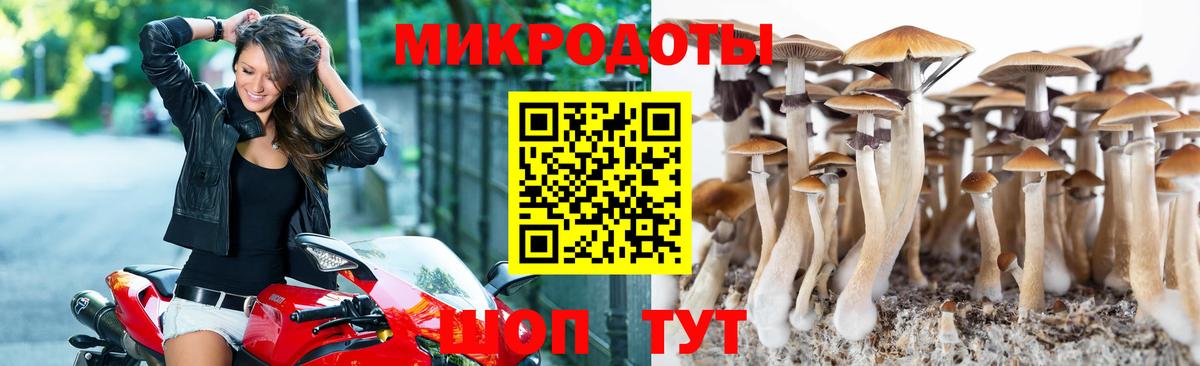 Канаш  Псилоцибиновые грибы Magic Shrooms  Вход с VPN 